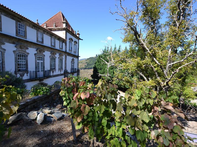 Casa Das Torres De Oliveira Mesão Frio Exterior foto